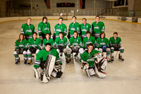 2014-15 Flagstaff Avalance hockey D3 team