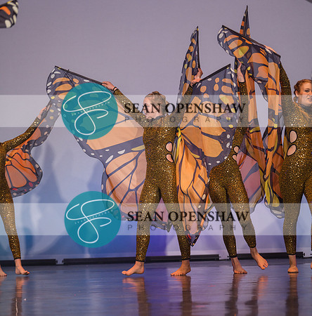 20230504_NPA_Metamorphosis_666