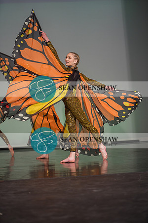 20230504_NPA_Metamorphosis_650