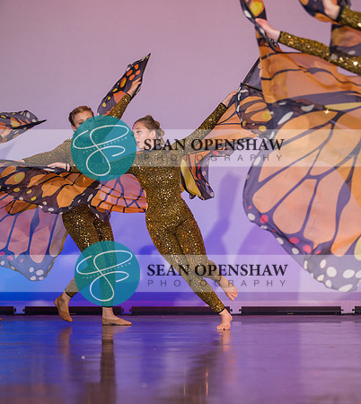20230504_NPA_Metamorphosis_654