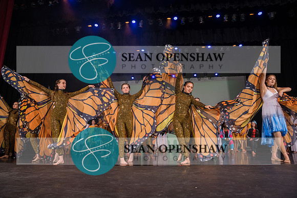 20230504_NPA_Metamorphosis_823