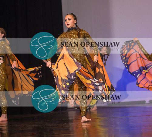 20230504_NPA_Metamorphosis_664