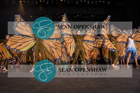 20230504_NPA_Metamorphosis_820