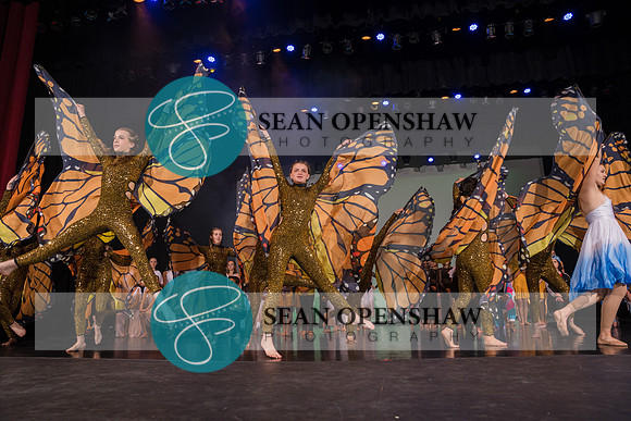 20230504_NPA_Metamorphosis_822
