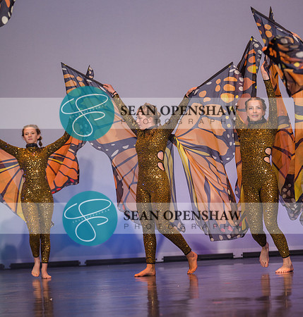 20230504_NPA_Metamorphosis_667