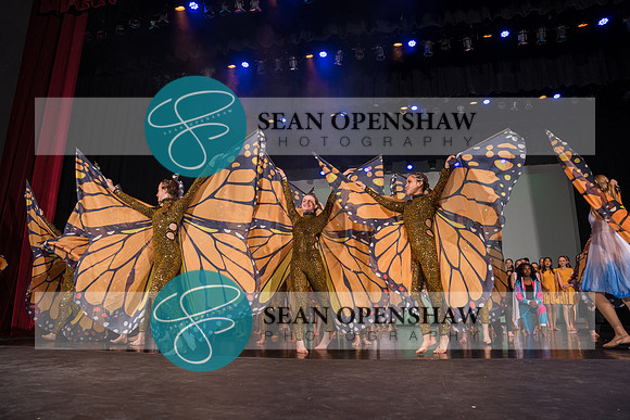 20230504_NPA_Metamorphosis_824