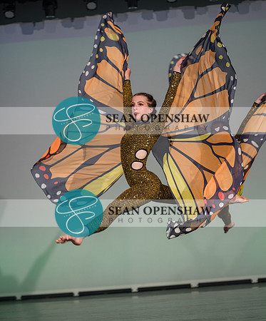 20230504_NPA_Metamorphosis_647