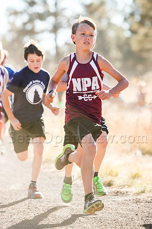 Flagstaff City Cross Country Championship race