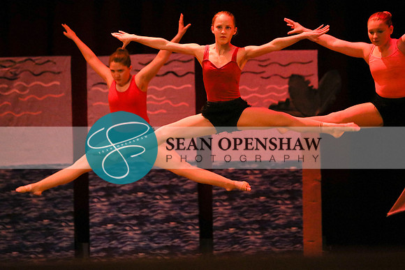 NPA Dance - Moana