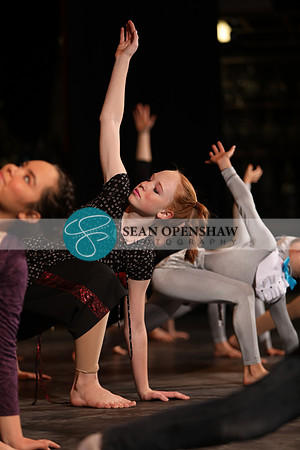 14th annual The Nutcracker Suite In Modern Bare Feet