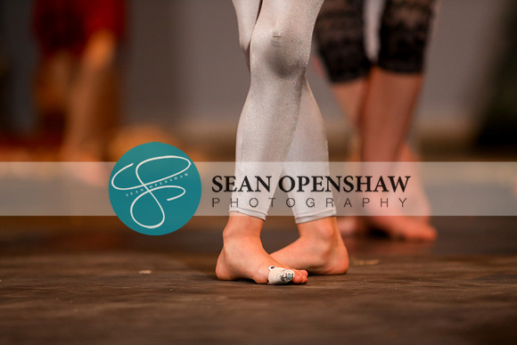 14th annual The Nutcracker Suite In Modern Bare Feet