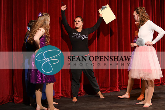 14th annual The Nutcracker Suite In Modern Bare Feet