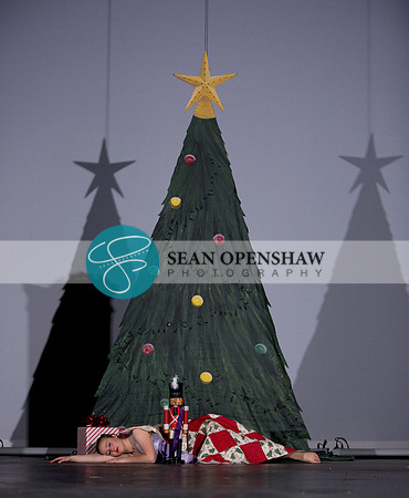 14th annual The Nutcracker Suite In Modern Bare Feet