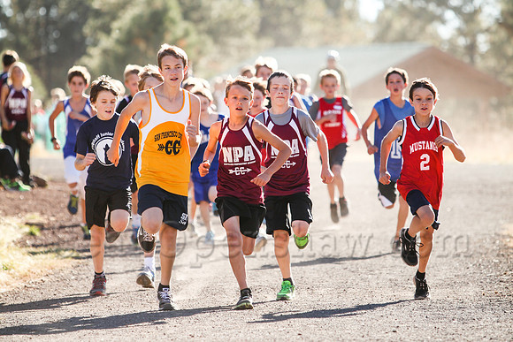 Flagstaff City Cross Country Championship race