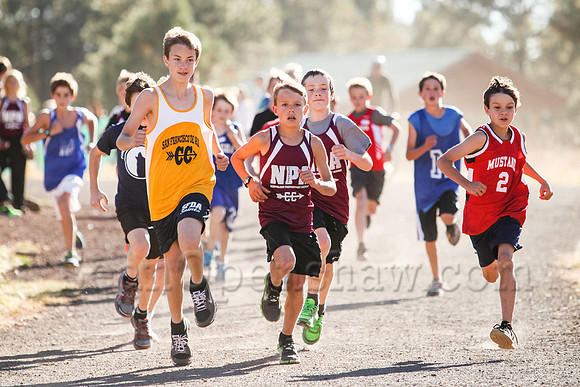 Flagstaff City Cross Country Championship race