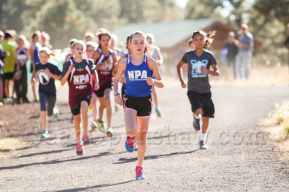 Flagstaff City Cross Country Championship race