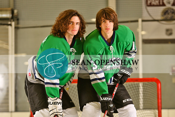 Grady and Griffin Sherwood