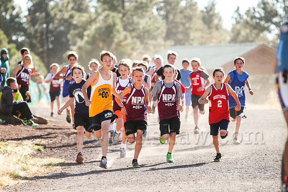 Flagstaff City Cross Country Championship race