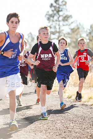 Flagstaff City Cross Country Championship race