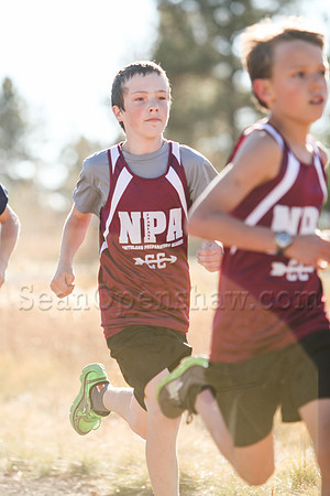 Flagstaff City Cross Country Championship race