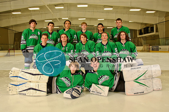 2016-2017 Flagstaff Avalanche team photos