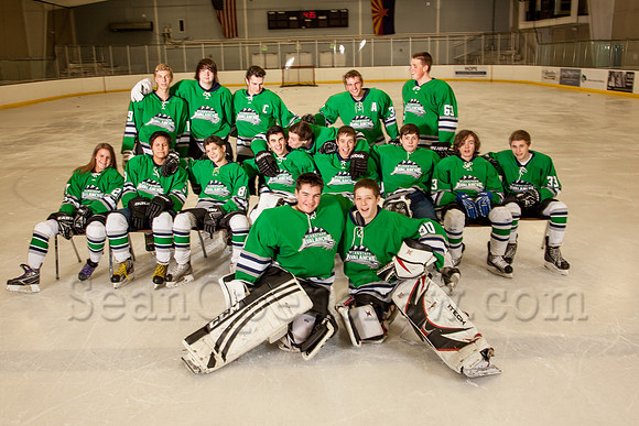 2014-15 Flagstaff Avalance hockey D3 team