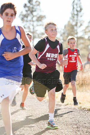 Flagstaff City Cross Country Championship race