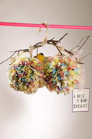 A Nest 4 Your Breast by Candace Wengert and Lydia Livingston